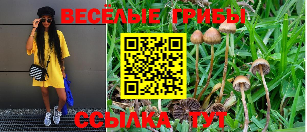 Нарткала  МЕТАМФЕТАМИН  Меф МЯУ МЯУ кристаллы  Вход с VPN  НБОМе  ГАШИШ  Бошки Шишки  А ПВП СОЛЬ кристаллы  КОКАИН 