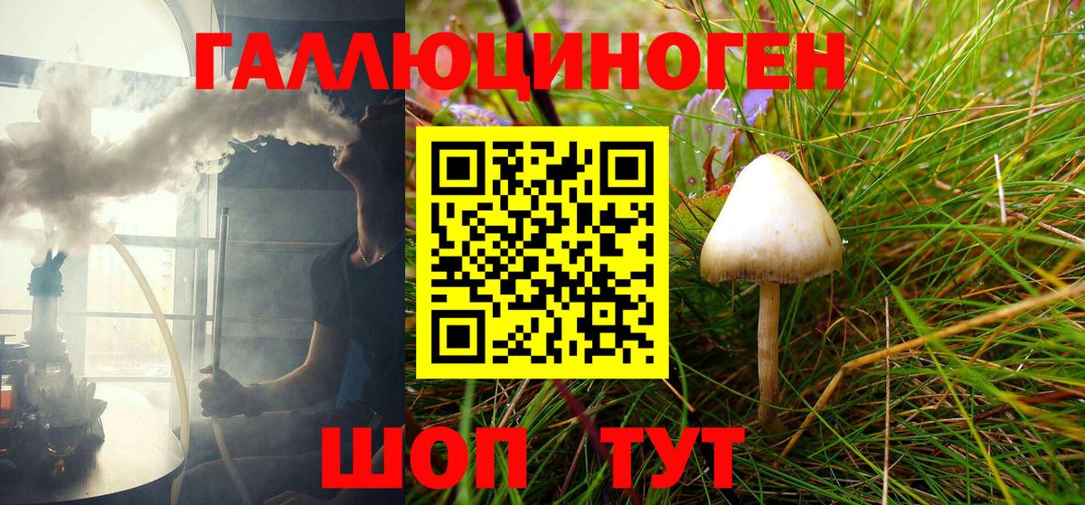 Псилоцибиновые грибы Psilocybe  Псилоцибиновые грибы GOLDEN TEACHER  Нарткала  Вход с VPN 